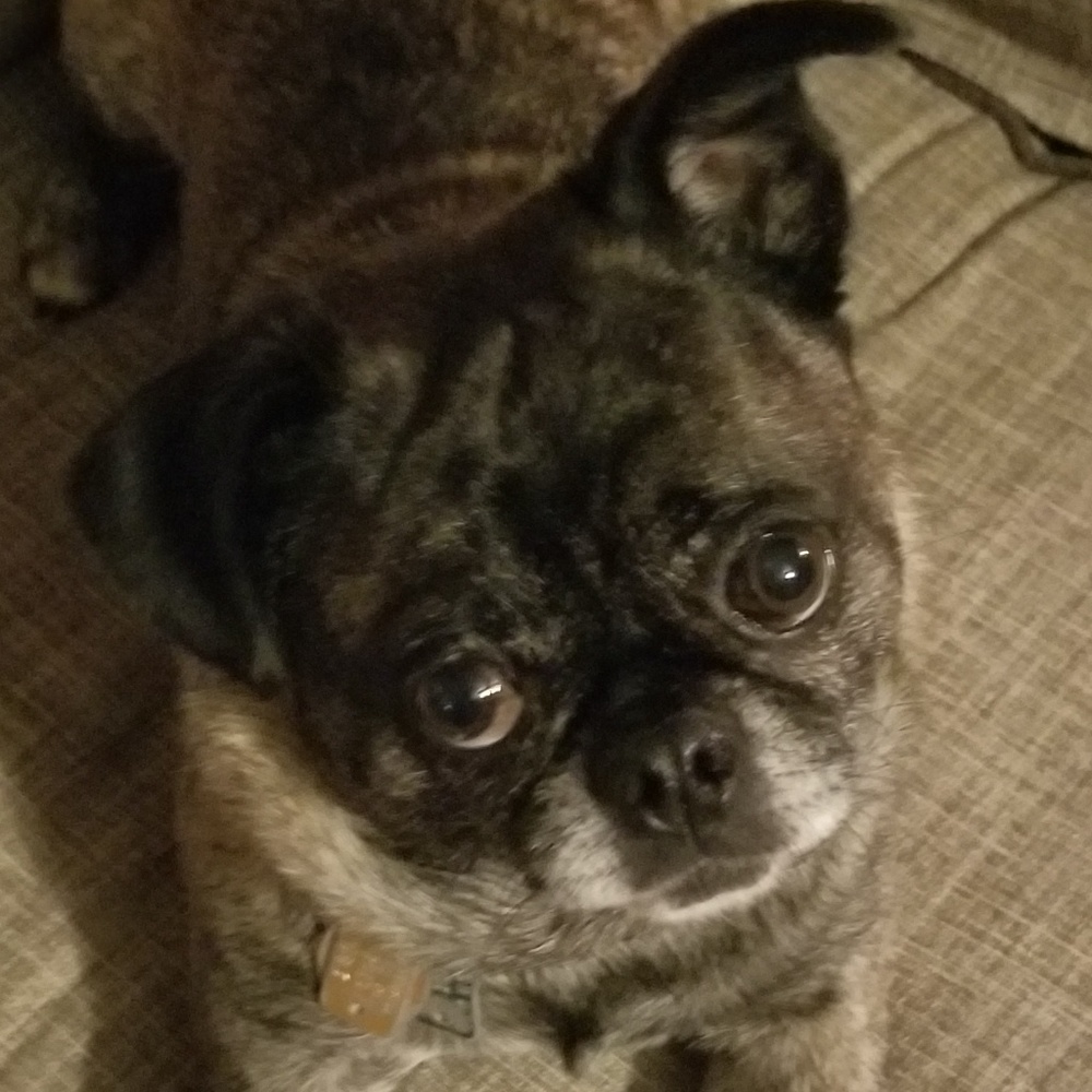 Meet your Posher, Deserae